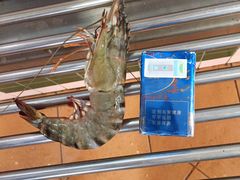 -班赞海鲜市场