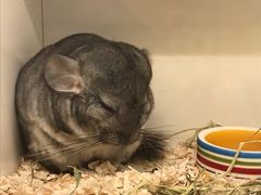 -龙猫仔乐园(惠福东路店)