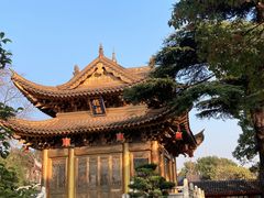 -上海东林寺(金山区)