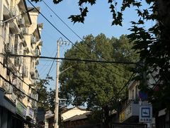 -孝丰南门锅贴(南街店)