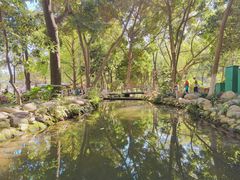 -成都市活水公园