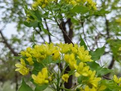 -汉长安城未央宫国家考古遗址公园