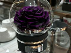 -ROSEONLY诺誓(磐基中心店)