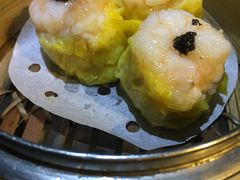 -糖朝(尖沙咀店)