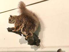 -墨尔本博物馆(Melbourne Museum)