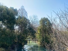 -西溪国家湿地公园