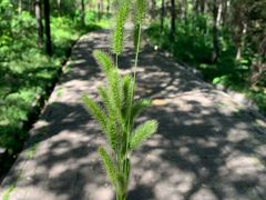 -森林公园(尖草坪区)