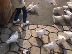 -秦文明广场