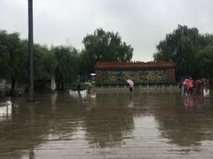 景点-白洋淀景区