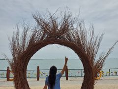 -北海金海湾红树林生态旅游区