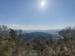 -惠山国家森林公园