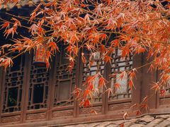 -南京市民俗博物馆(甘熙宅第)