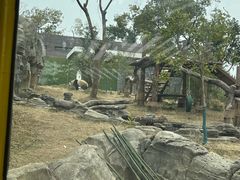 -武汉动物园