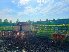 -安德鲁户外烧烤帐篷营地(马泉营店)