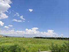-敕勒川草原