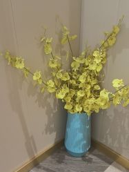 -丝域养发馆