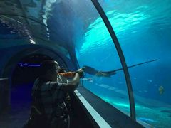 -北戴河圣蓝海洋公园