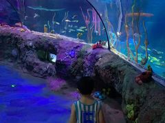 -沈阳海洋探索中心