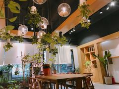 -柴务处·柴犬主题狗咖