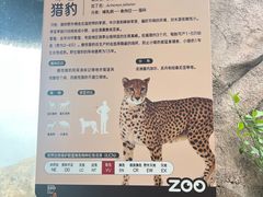 -武汉动物园