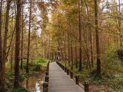 -桤木河湿地公园