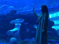 -成都浩海立方海洋公园