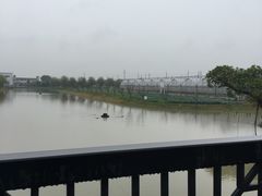 -上海多利农业发展有限公司