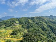 -紫鹊界梯田景区