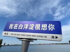 -铁锅炖灶台鱼老三炖鱼馆