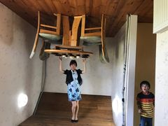 -金山农民画村-枫泾波兰倒置屋