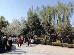 -西安青龙寺遗址景区