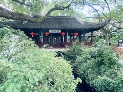 -上海醉白池公园