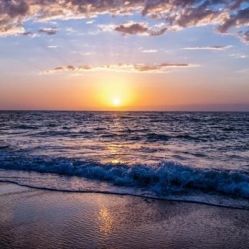 -薇兰专业脱毛连锁机构