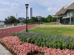 -上海山野camping·户外天幕烧烤·团建拓展营地
