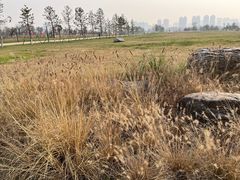 -汉长安城未央宫国家考古遗址公园