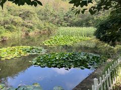 -金龙寺国家森林公园