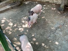 -杭州野生动物世界