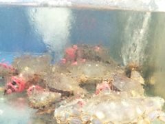 -雅逸居海鲜小厨