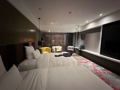 -南京禄口机场雅高铂尔曼大酒店