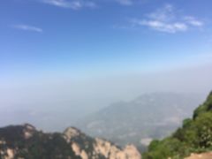 -醉得意(济南万达店)