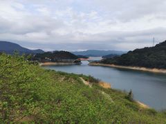 -广州市流溪河国家森林公园