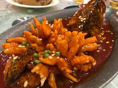 松鼠桂鱼-村(悦海新天地店)