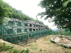 -栾川竹海野生动物园