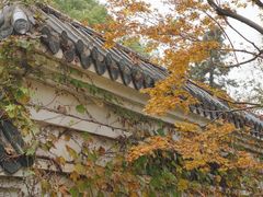 -东湖磨山景区