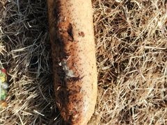 -燕郊植物园