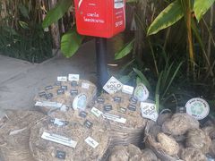 -大象粑粑造纸公园