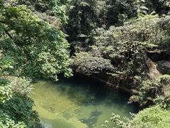-鼎湖山风景区