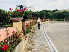 -厦门帝元维多利亚大酒店(环岛路黄厝海滩店)