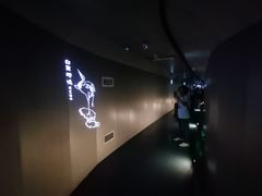 -白鹤梁水下博物馆
