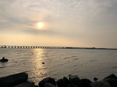 -宝安西湾红树林湿地公园